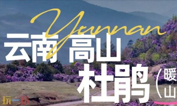 游侠客官方APP下载在哪里 游侠客APP下载地址