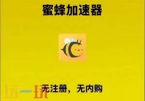 蜜蜂加速器怎么用 使用蜜蜂加速器需要注意什么