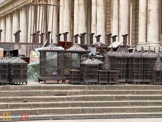 期待！《艾尔登法环》电影片场照泄露，食粪者还原度100%！