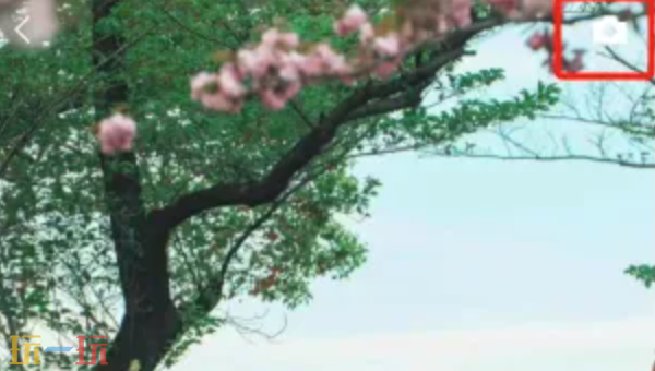 微信朋友圈怎么发纯文字 微信朋友圈纯文字发送步骤