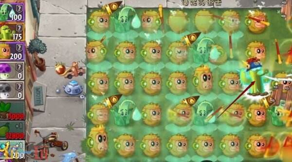 植物大战僵尸2追击第6关怎么玩 追击第6关玩法攻略