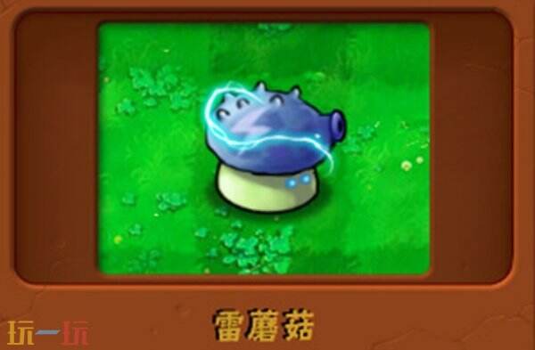 植物大战僵尸2雷蘑菇怎么玩 植物大战僵尸2雷蘑菇玩法介绍