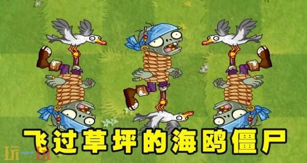 植物大战僵尸2怎么打败海鸥僵尸 海鸥僵尸打法攻略