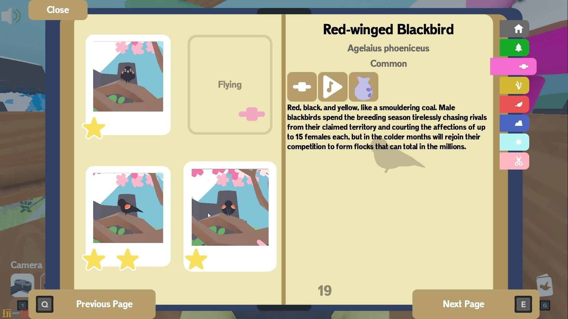 Flock Around游戏截图