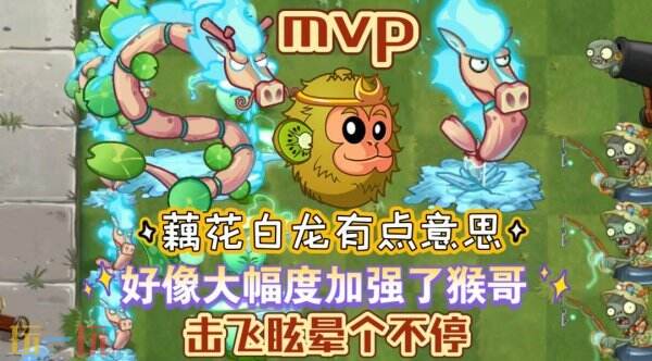 植物大战僵尸2藕花白龙怎么样 植物大战僵尸2藕花白龙介绍