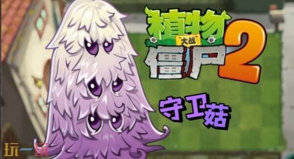 植物大战僵尸2守卫菇怎么玩 植物大战僵尸2守卫菇测评及特性介绍