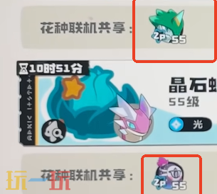 洛克王国世界如何辨别炫彩花种 洛克王国世界如何获取炫彩花种