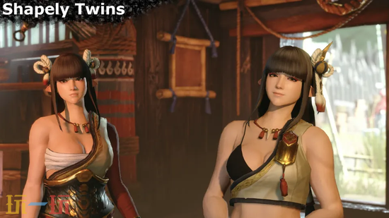 怪物猎人崛起MOD-双胞胎身材更匀称服装重塑一键安装