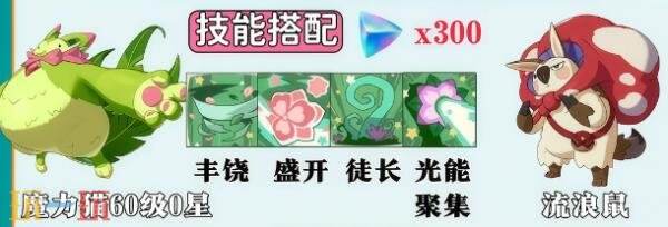 洛克王国世界命定花种流浪鼠怎么打 命定花种流浪鼠打法攻略