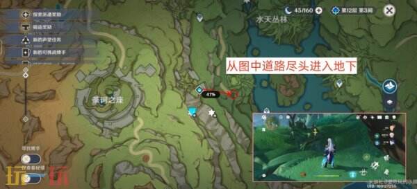 原神树王圣体菇采摘路线 原神树王圣体菇采集位置图