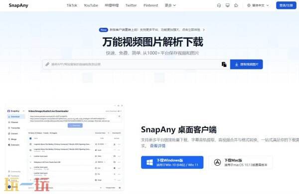 视频解析网站 视频解析在线提取