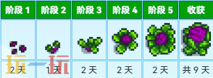 星露谷物语红叶卷心菜 星露谷物语中文wiki