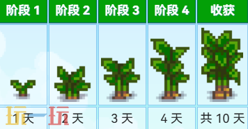 星露谷物语芋头 星露谷物语中文wiki