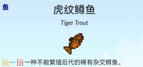 星露谷物语虎纹鳟鱼在哪里钓 星露谷物语虎纹鳟鱼出现的时间