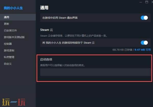 steam启动选项怎么设置 steam启动选项在哪设置