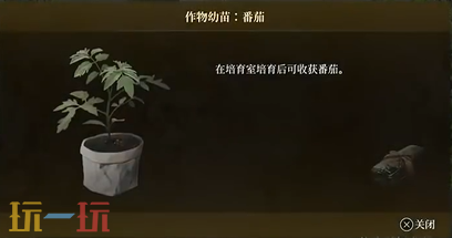 轮回之兽番茄幼苗在哪里 轮回之兽幼苗全收集攻略