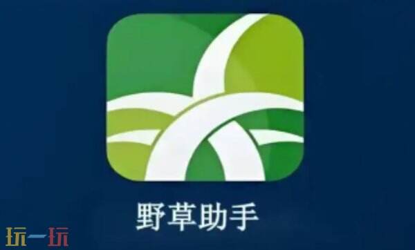 野草助手网页版登录入口 野草助手网页版网址