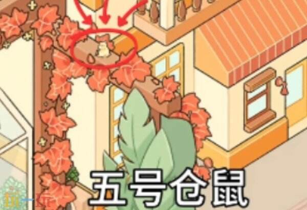菜鸡梦想家仓鼠位置在哪 菜鸡梦想家仓鼠位置介绍