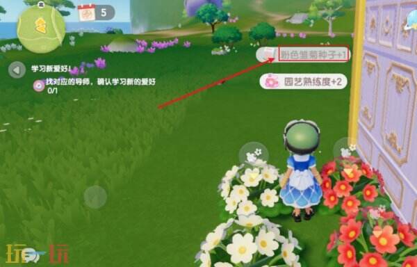 心动小镇怎么触发花朵杂交 心动小镇花朵杂交如何触发