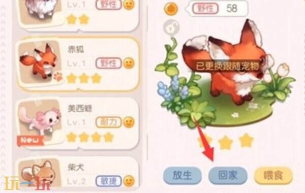 奥比岛梦想国度怎么抓宠物 奥比岛梦想国度宠物怎么获得