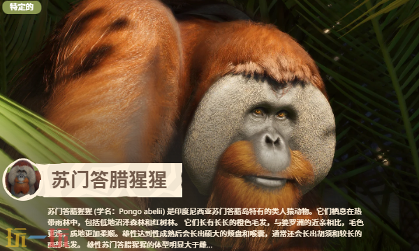 动物园之星2有哪些动物 动物园之星2全部动物图鉴