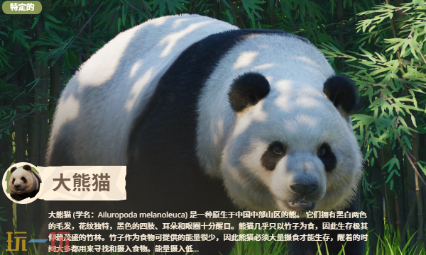 动物园之星2有哪些动物 动物园之星2全部动物图鉴