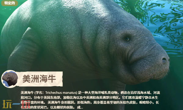 动物园之星2有哪些动物 动物园之星2全部动物图鉴