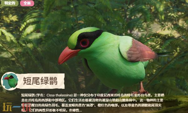 动物园之星2有哪些动物 动物园之星2全部动物图鉴