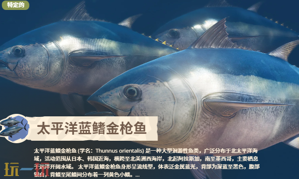 动物园之星2和1有啥区别 动物园之星2和1区别介绍