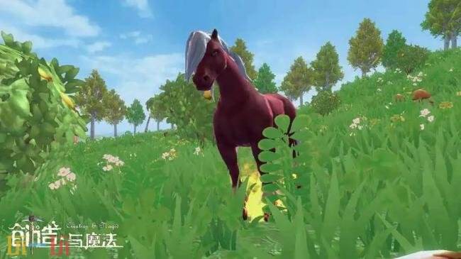 创造与魔法红马饲料制作方法 红马驯服提示