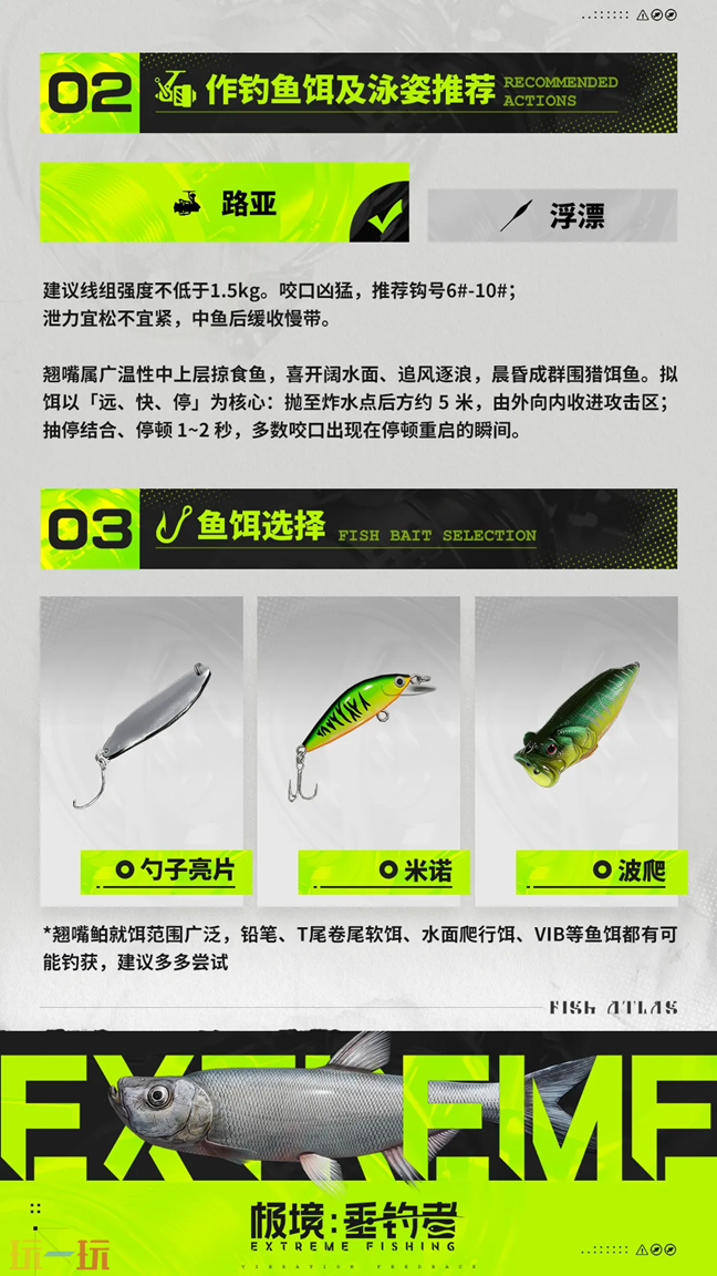 极境垂钓者鱼种志翘嘴鲌 极境垂钓者鱼类图鉴翘嘴鲌