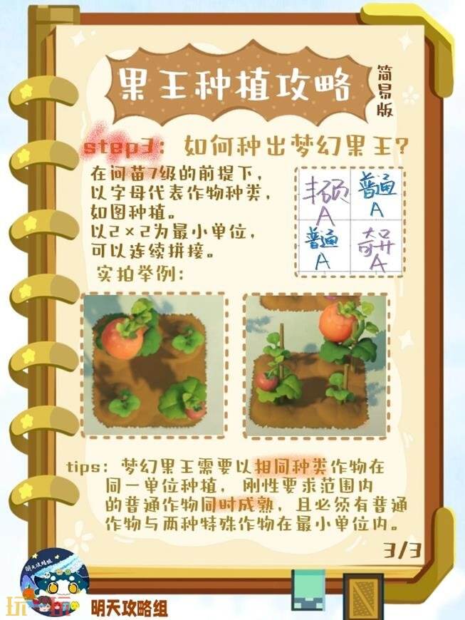 星布谷地种植攻略 星布谷地果王种植篇
