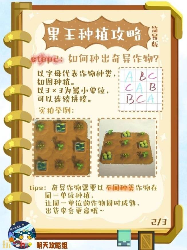 星布谷地种植攻略 星布谷地果王种植篇
