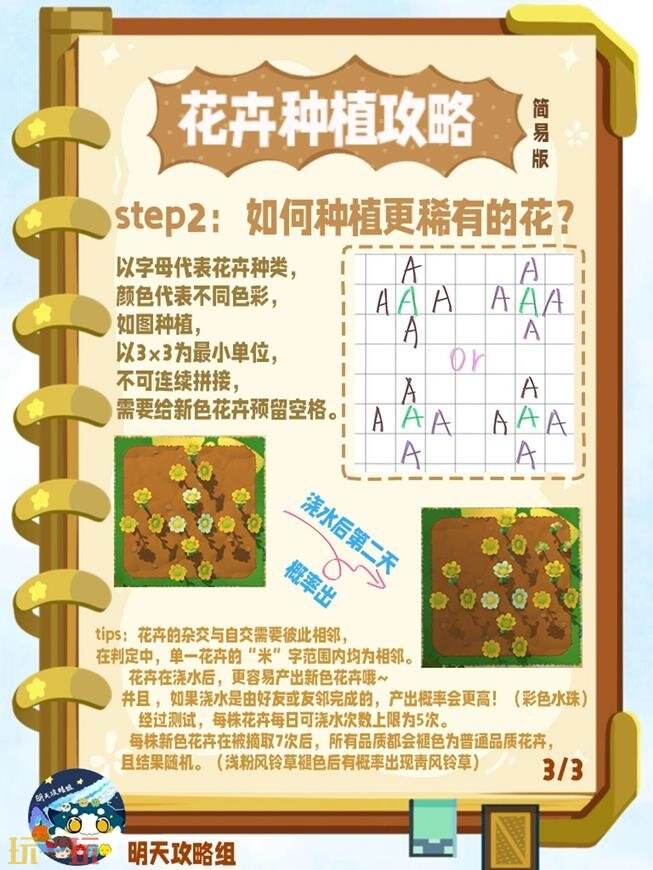 星布谷地种植攻略 星布谷地花卉种植篇