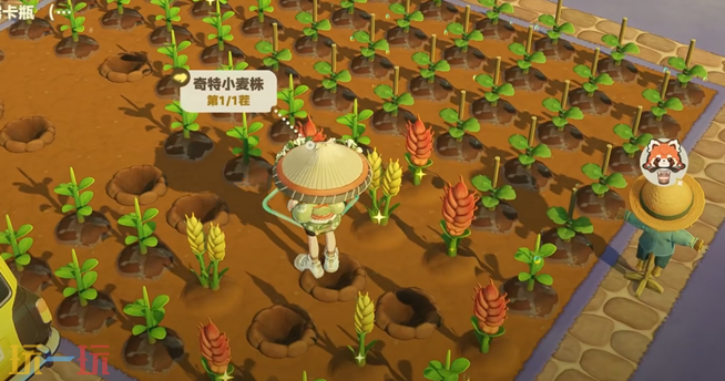 星布谷地特殊作物一览 星布谷地特殊作物种植方法