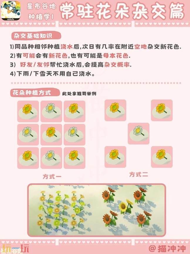 星布谷地常驻花朵杂交攻略 星布谷地植物杂交知识